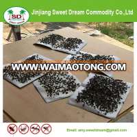 Sticky Fly Paper, Fly Glue Board, Fly Glue Trap Paper