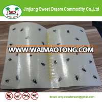 Powerful Fly Paper With Best Price